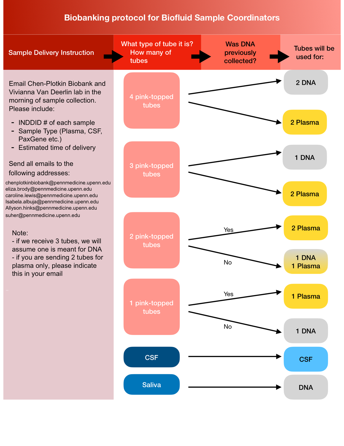 Biobanking protocol flowchart for biofluid sample coordinators: what to email ahead of collection, and how pink-topped blood tubes, CSF and saliva map onto DNA and plasma aliquots.