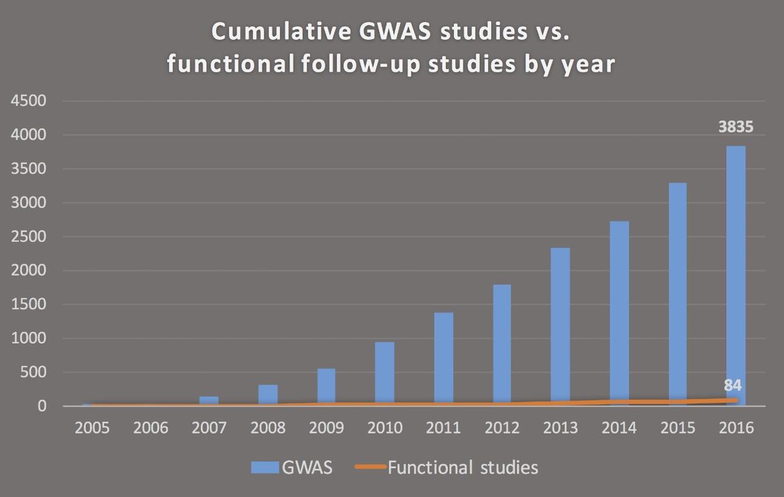 Cumulative GWAS studies versus functional follow-up studies by year: 3,835 GWAS against 68 functional studies by 2016.