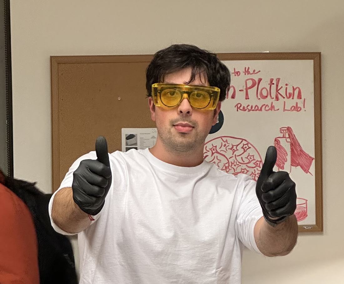 More from the lab