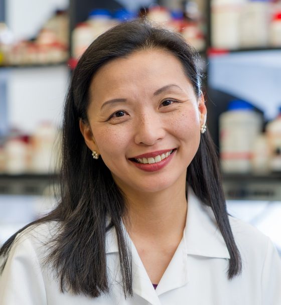 Alice Chen-Plotkin, MD